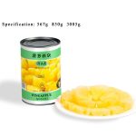 CF12 KKZ Canned Pineapples Pieces In Syrup 6*3005G-24months | Hong Kong Store Limited