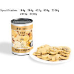 CM03 KKZ Canned Champignon Mushrooms Slices 6*4100G-36months | Hong Kong Store Limited