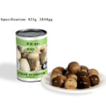 CM04 KKZ Canned Straw Mushrooms Whole 6*2840G-36months | Hong Kong Store Limited