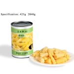 CV14 KKZ Canned Baby Corn Cuts 6*2840G-36months | Hong Kong Store Limited