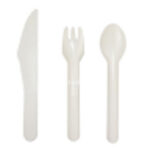 DT04 Bagasse Spoon Fork Knife | Hong Kong Store Limited