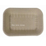 DT06 7x5 Inch Meat Tray 50pcs*20bag /ctn | Hong Kong Store Limited