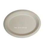 DT16 Oval Plate 10/12inch 50pcs*10bag /ctn | Hong Kong Store Limited