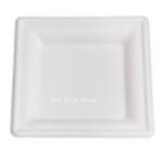 DT18 Square Plate 8/10inch 50pcs*10bag /ctn | Hong Kong Store Limited