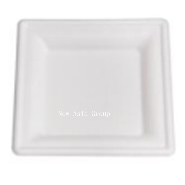 DT18 Square Plate 8/10inch 50pcs*10bag /ctn