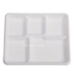 DT19 5 Compartment Tray 50pcs*20bag /ctn | Hong Kong Store Limited
