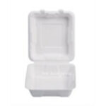 DT26 8x8inch Lunch Box 50pcs*4bag /ctn | Hong Kong Store Limited