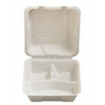DT27 8x8inch 3 Compartment Lunch Box 50pcs*4bag /ctn | Hong Kong Store Limited