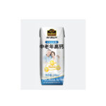 I13 Black Sesame Milk High In Calcium 12boxes*248ML-12 Months | Hong Kong Store Limited