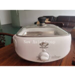 NF13 Multifunctional Rice Roll Steamer （Rated Power: 1000W） | Hong Kong Store Limited